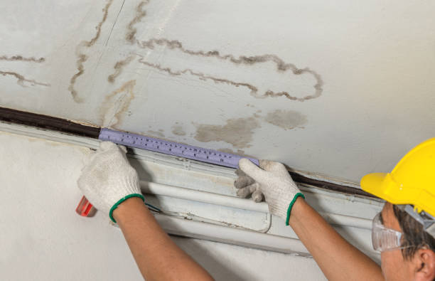 Reliable Water Damage contractor in Danville, CA by Water Damage Irwin